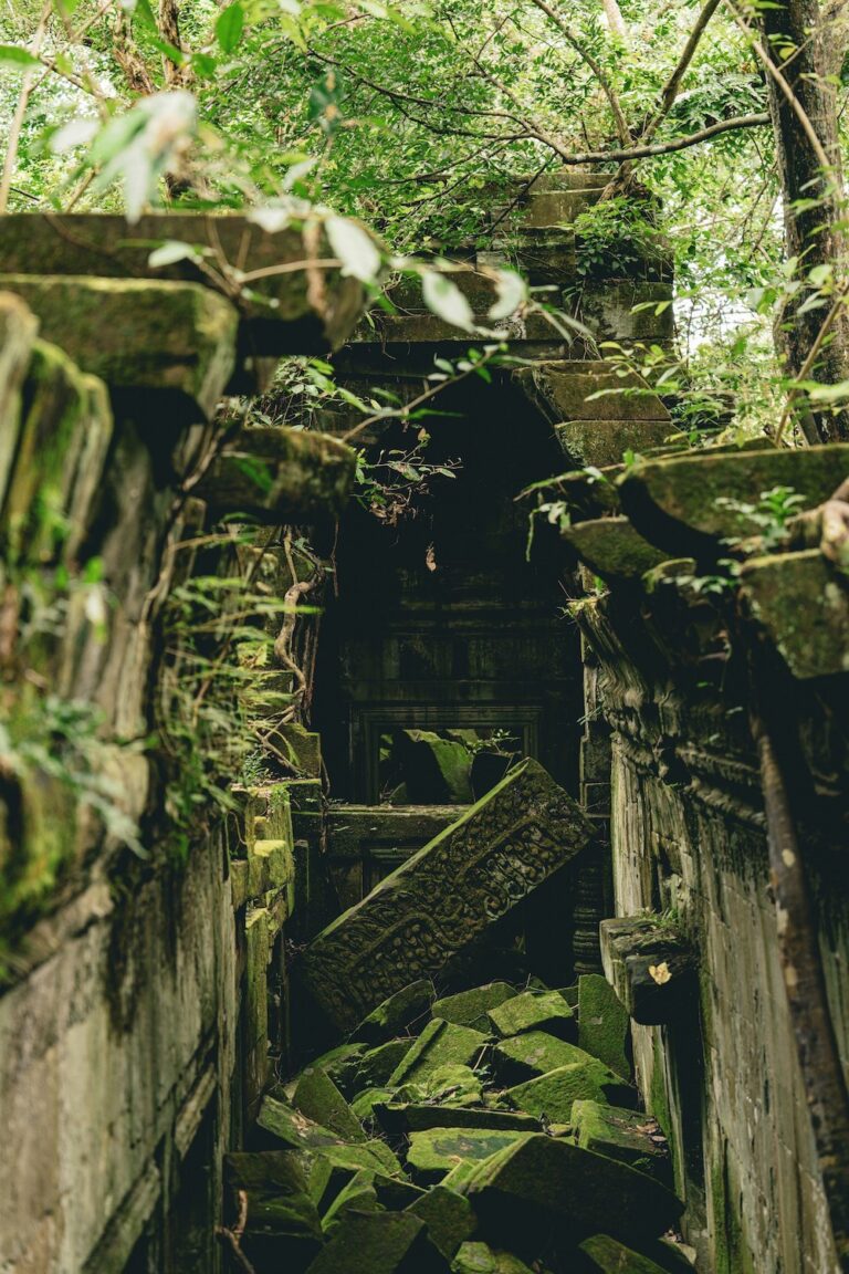 nicolas-spehler-C3St5SQiW_c-unsplash