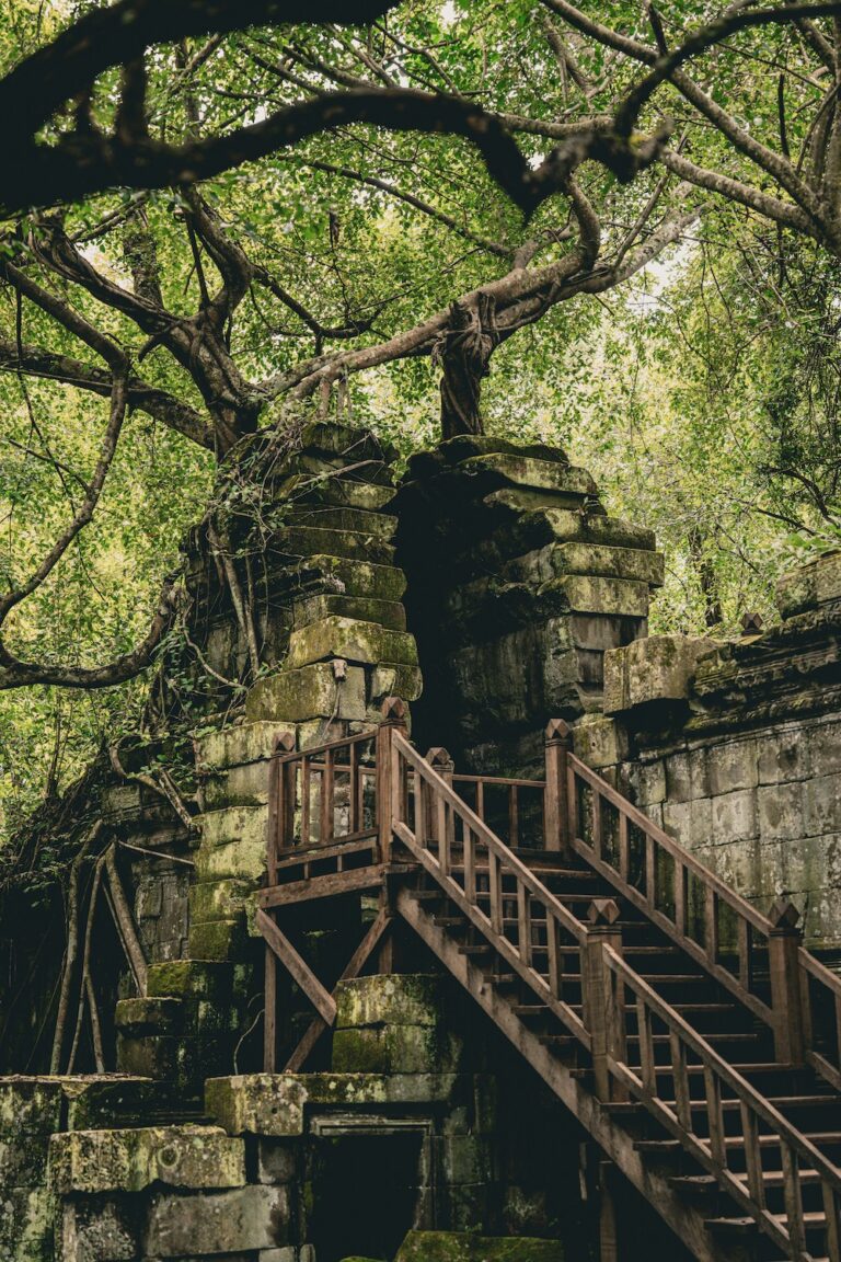 nicolas-spehler-Ov9tq-Y6B6Q-unsplash